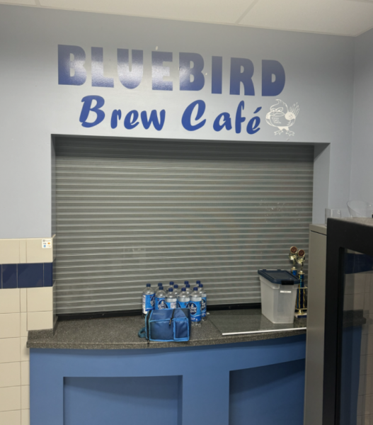 The Bluebird Brew Cafe.